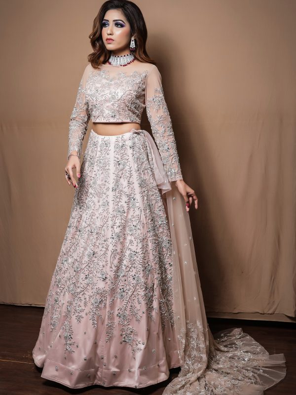 Blush Crop Top And Skirt With All Over Silver Embroidery