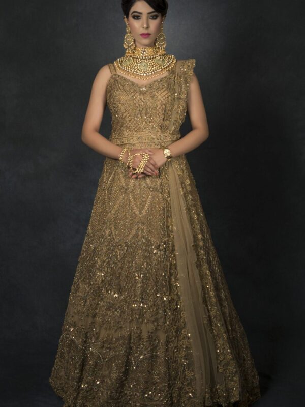 Golden Zardozi Embroidery Double Layer Gown